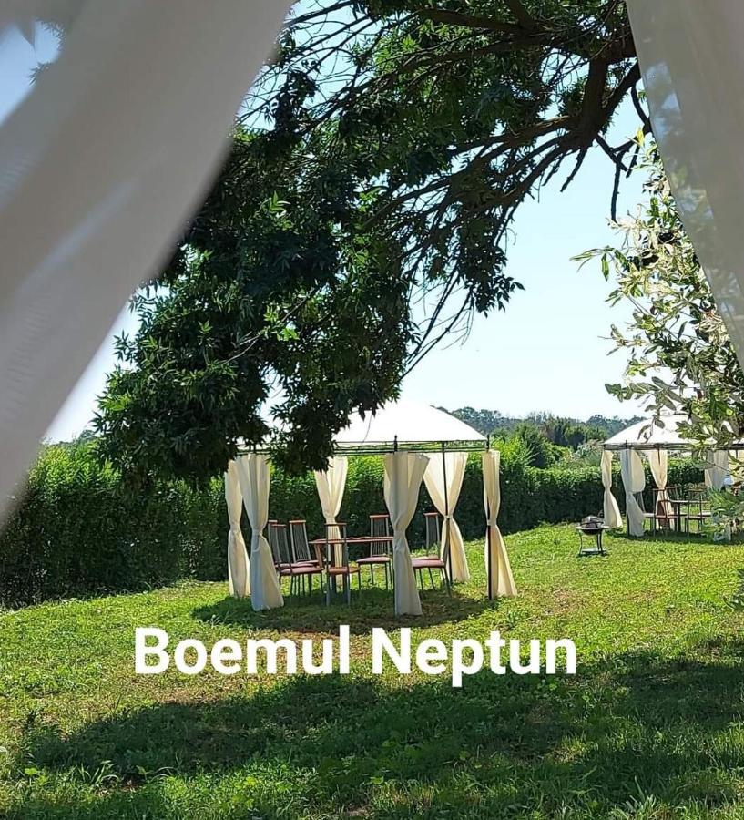 Boemul