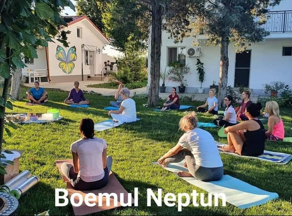 Boemul Pensiune *